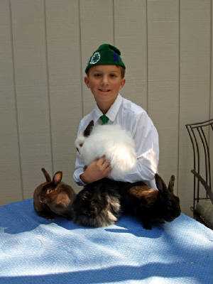 rabbits.jpg